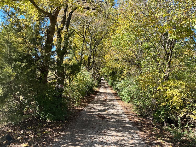 11383 Shumate Crossing Road Farmington, AR 72730, Washington County