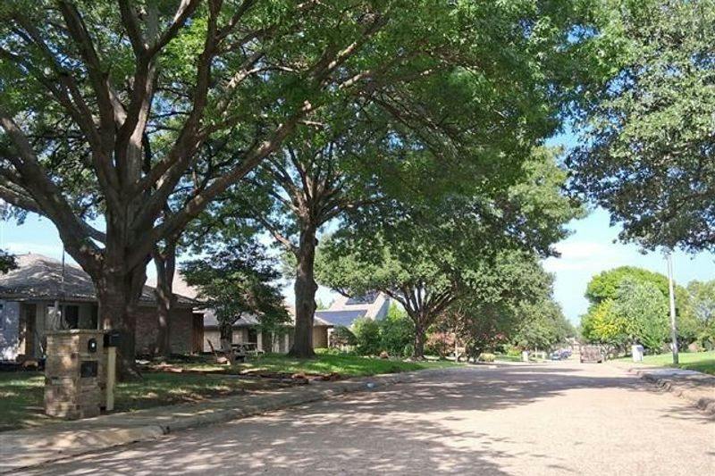 Mullrany Dr, Dallas, TX 75248