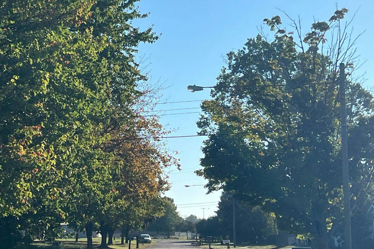 Addison Dr, Fowlerville, MI 48836