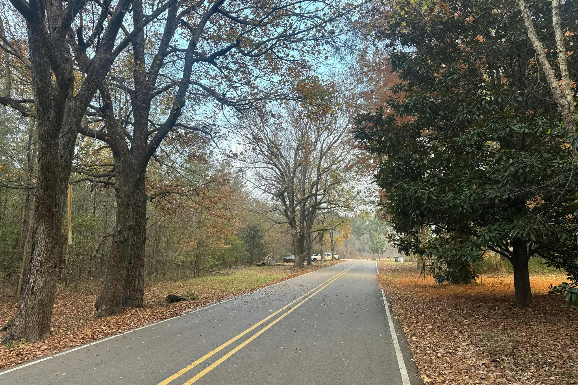 Cypress Ln, Greenwood, MS 38930