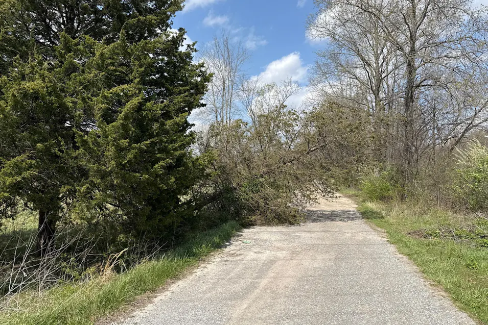 14691 4 Mile Ln Benton, IL 62812, Franklin County
