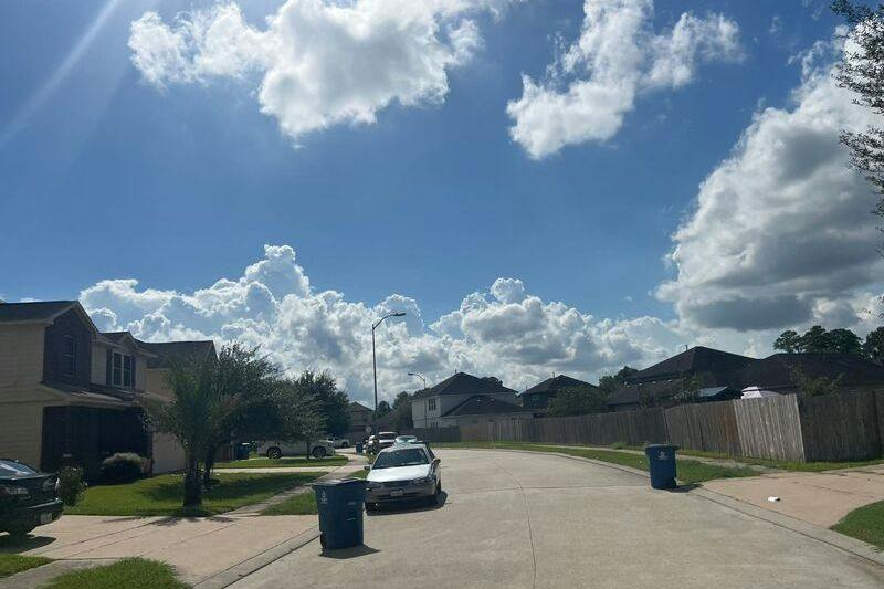 Lovage Ave, Crosby, TX 77532