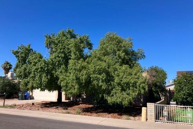 4422 W. Poinsettia Drive Glendale, AZ 85304, Maricopa County