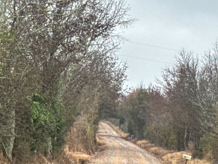 350 Pomona Rd Griffin, GA 30223, Spalding County