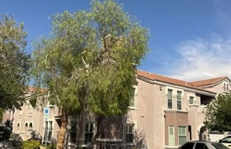10001 Peace Way Unit 2196 Las Vegas, NV 89147, Clark County