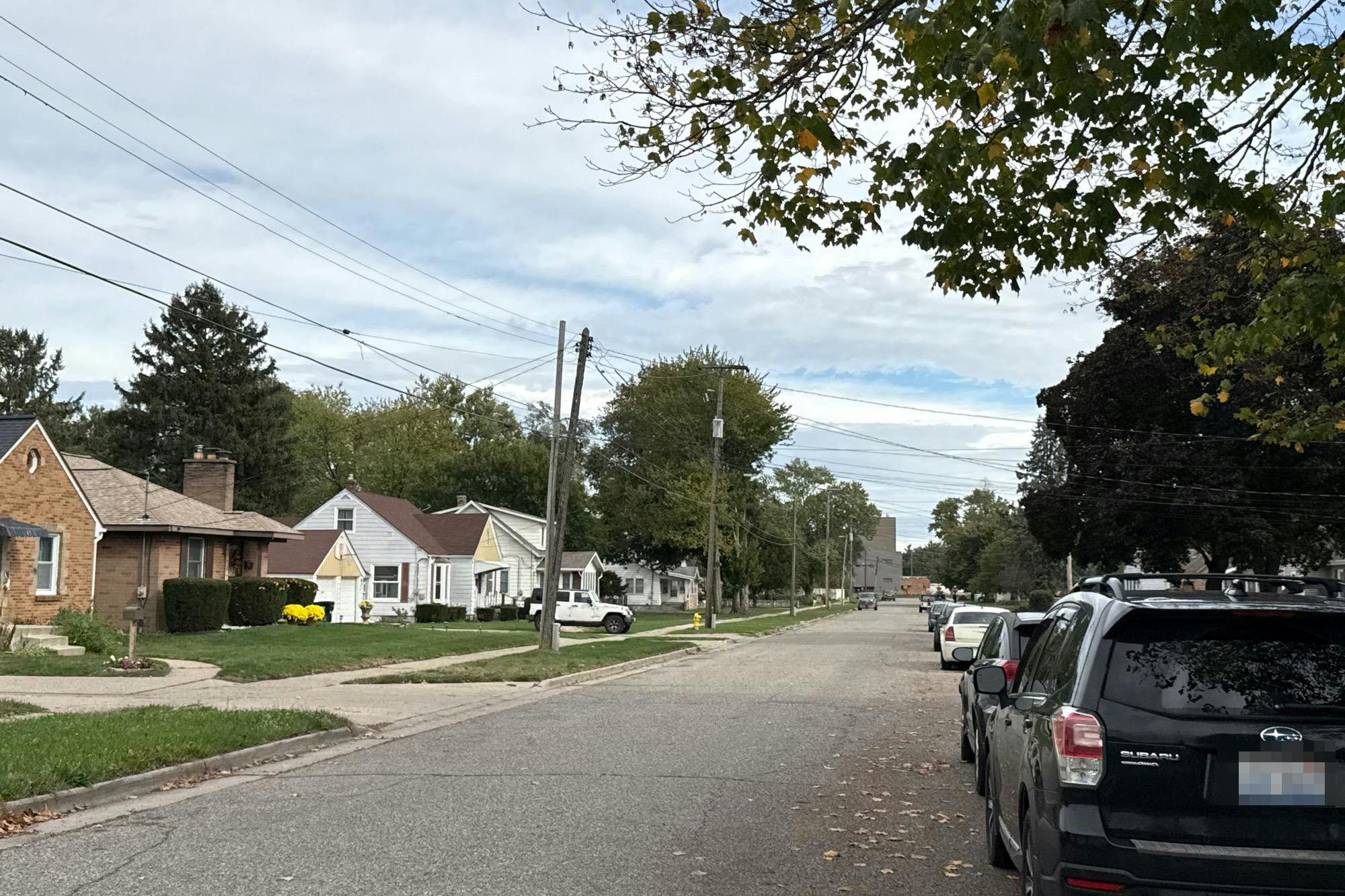 Celia St, Grand Rapids, MI 49548