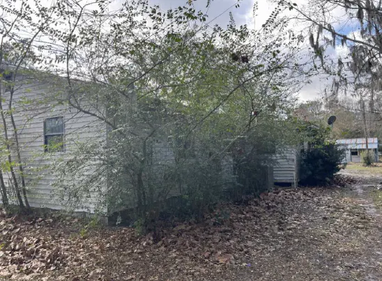 Deerwoods Dr, Eustis, FL 32736 #1