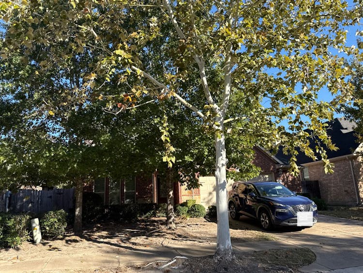 17223 Rookery Ct Conroe, TX 77385, Montgomery County