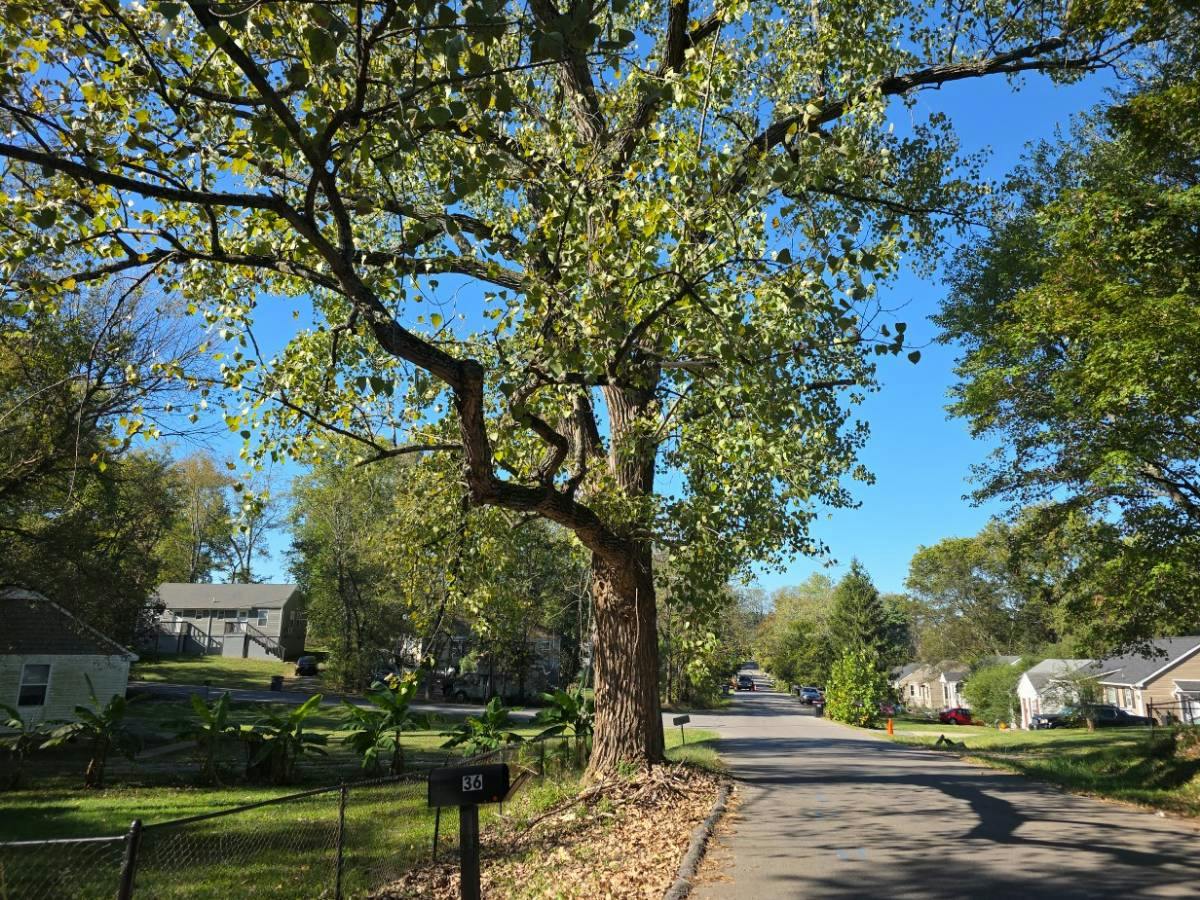 Maple St, Clarksville, TN 37042