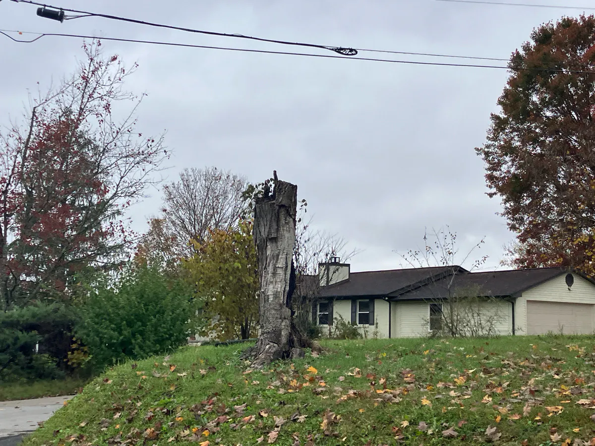 Tazewell Pike, Corryton, TN 37721 #1