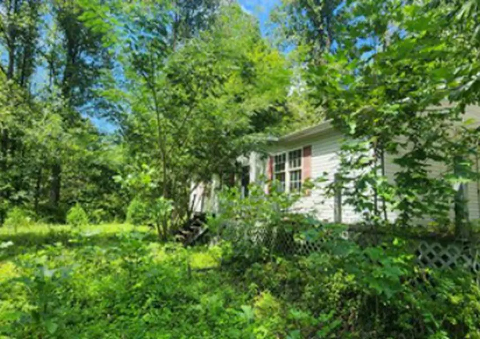438 Neds Frk McDowell, KY 41647, Floyd County