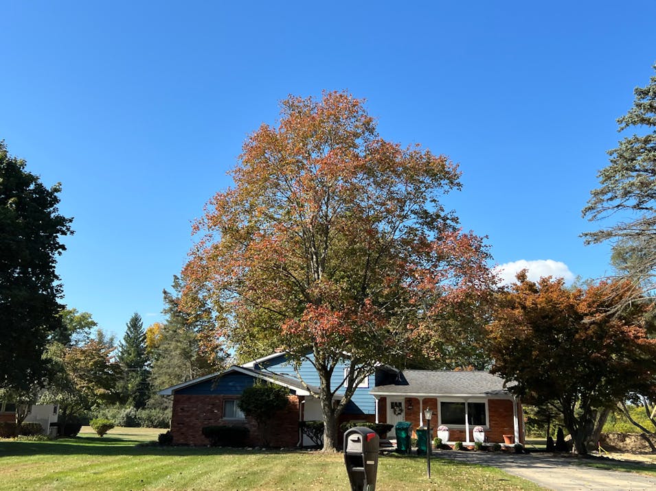 14350 Louisa Drive Van Buren Township, MI 48111, Wayne County