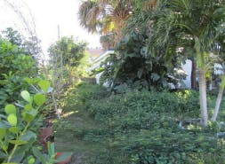 Lorraine Ct, North Palm Beach, FL 33403 #1