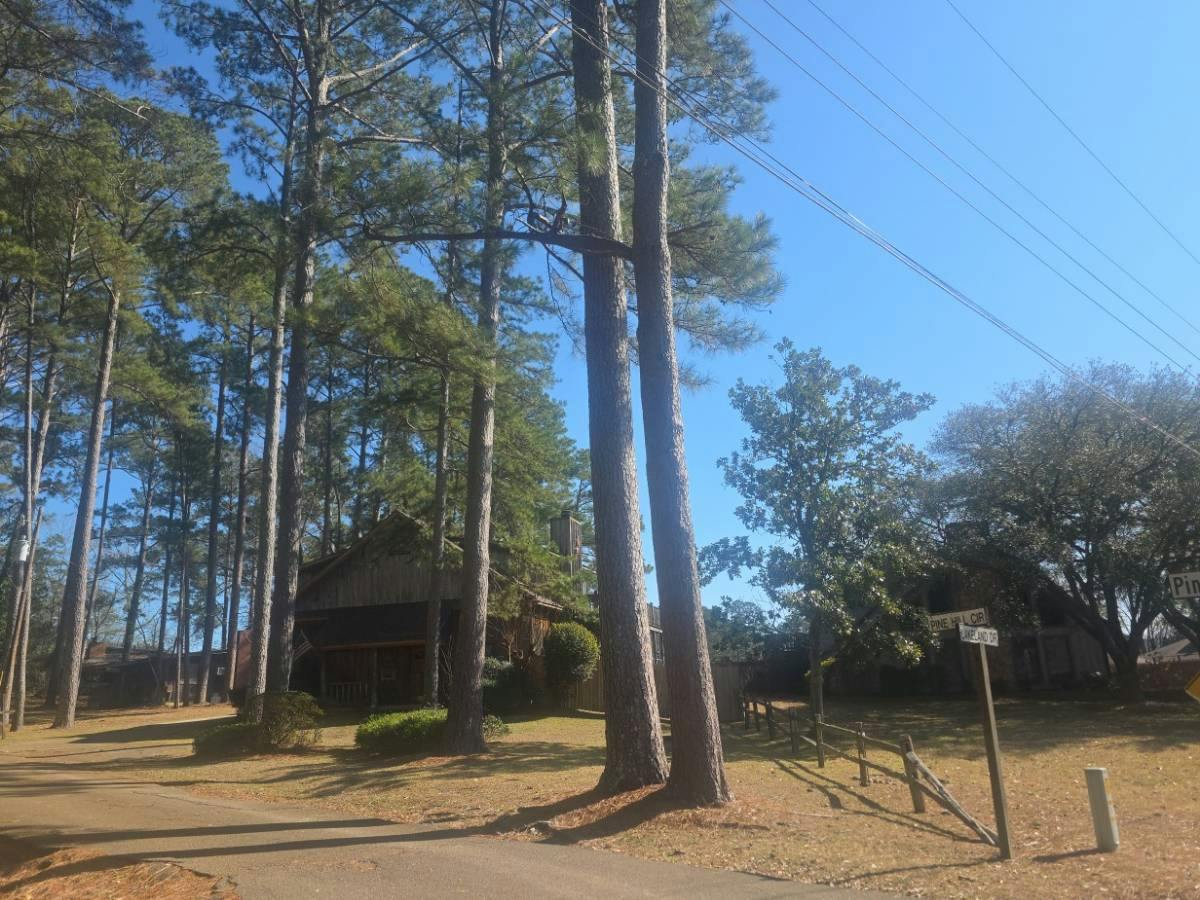 Pine Hill Cir, Florence, MS 39073
