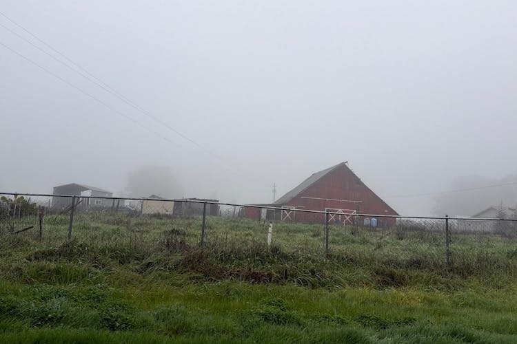 8318 Kobert Rd Winters, CA 95694, Solano County