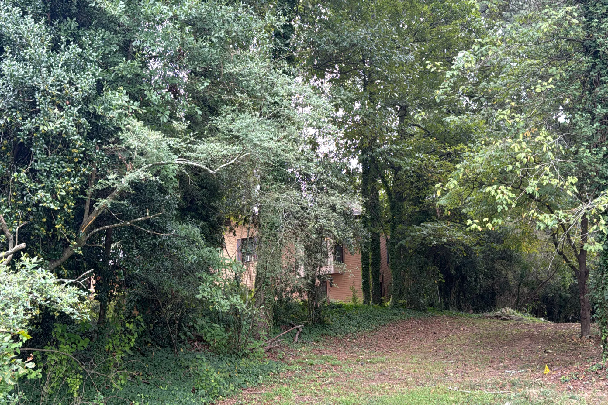 Bethsaida Rd, Riverdale, GA 30296 #1