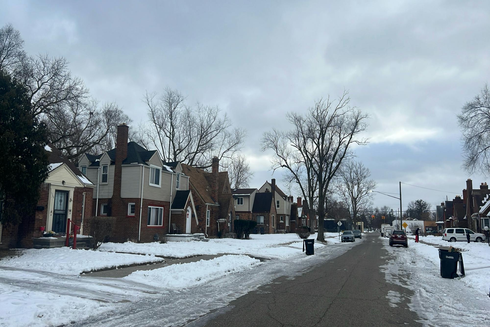 Murray Hill St, Detroit, MI 48235