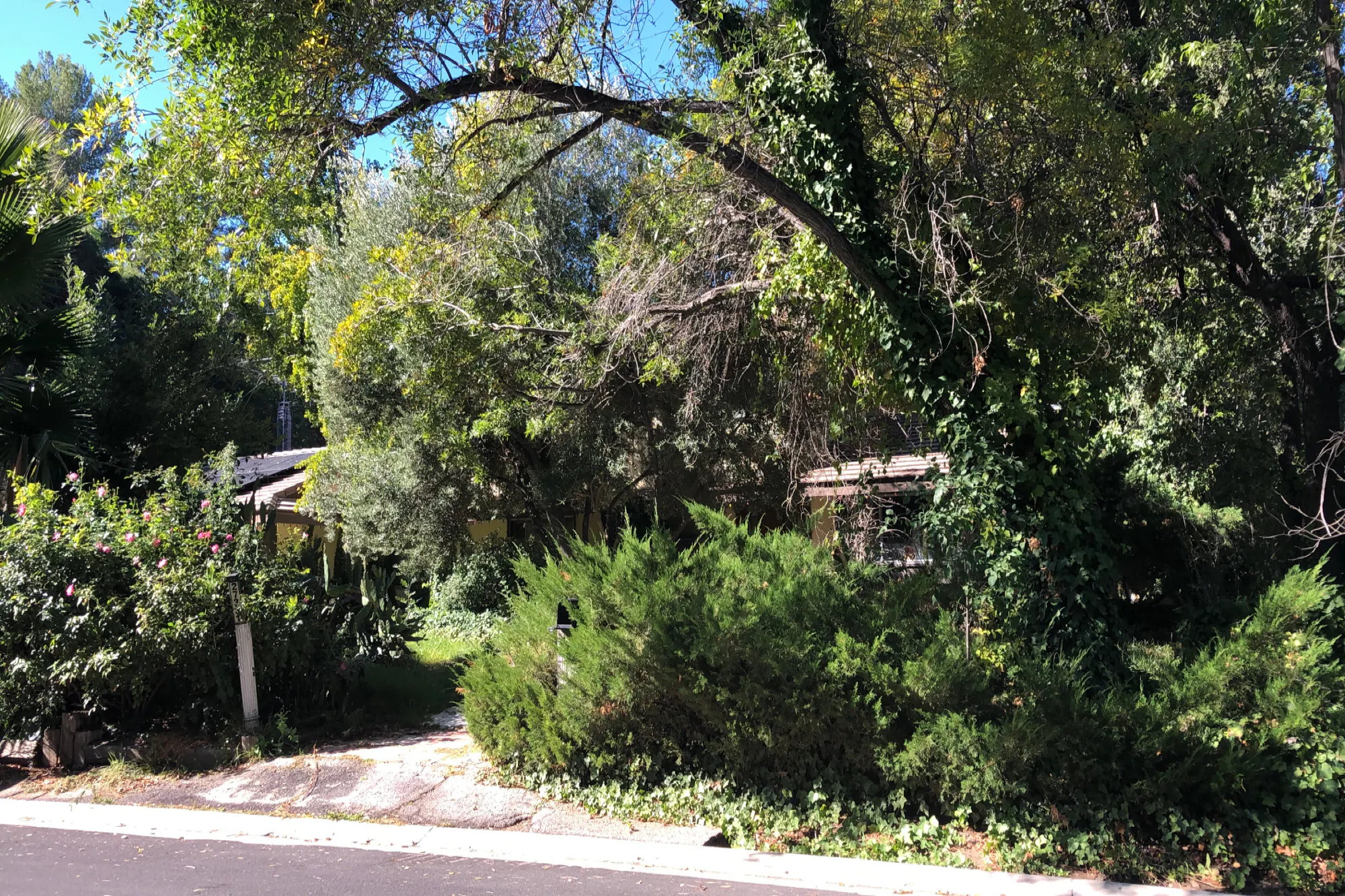 Circle G Dr, Canyon Country, CA 91387 #1