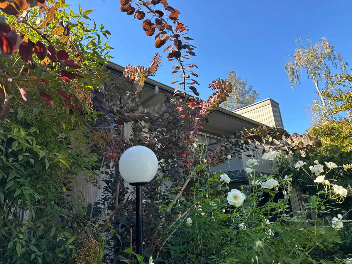 Buckingham Dr, Santa Clara, CA 95051 #1