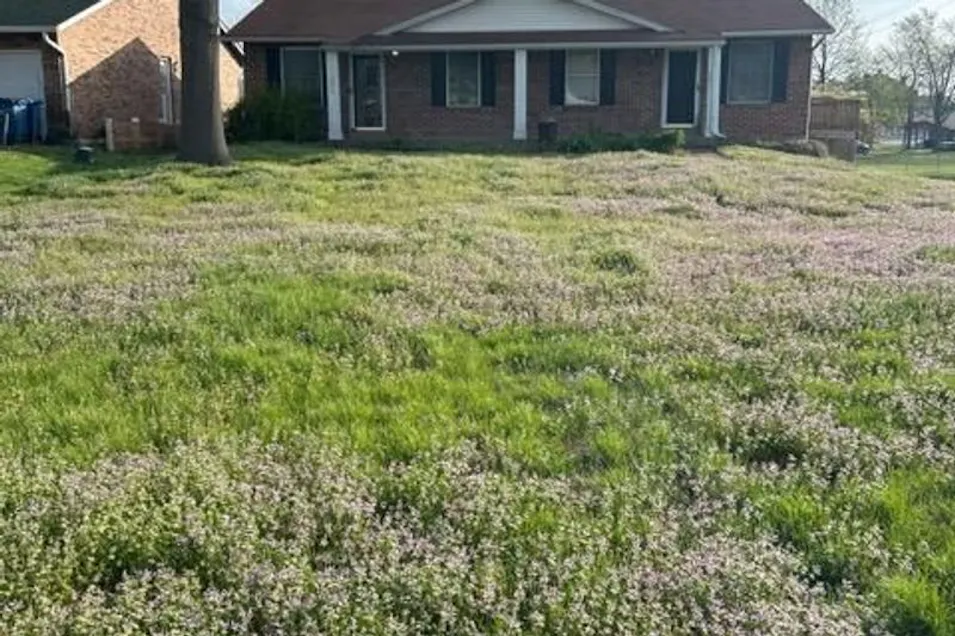 293 Grover Road Saint Louis, MO 63125, Saint Louis County