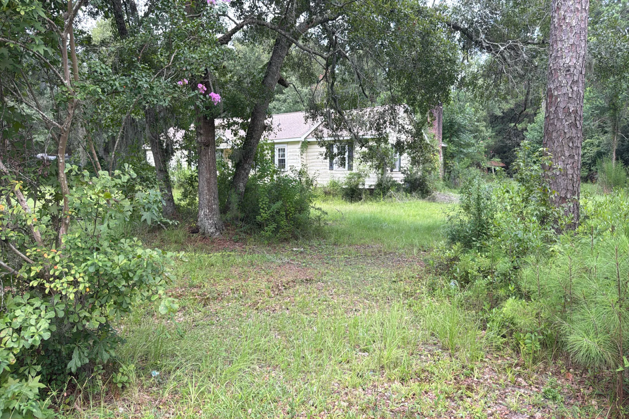 Ravenell Dr, Saint Stephen, SC 29479 #1