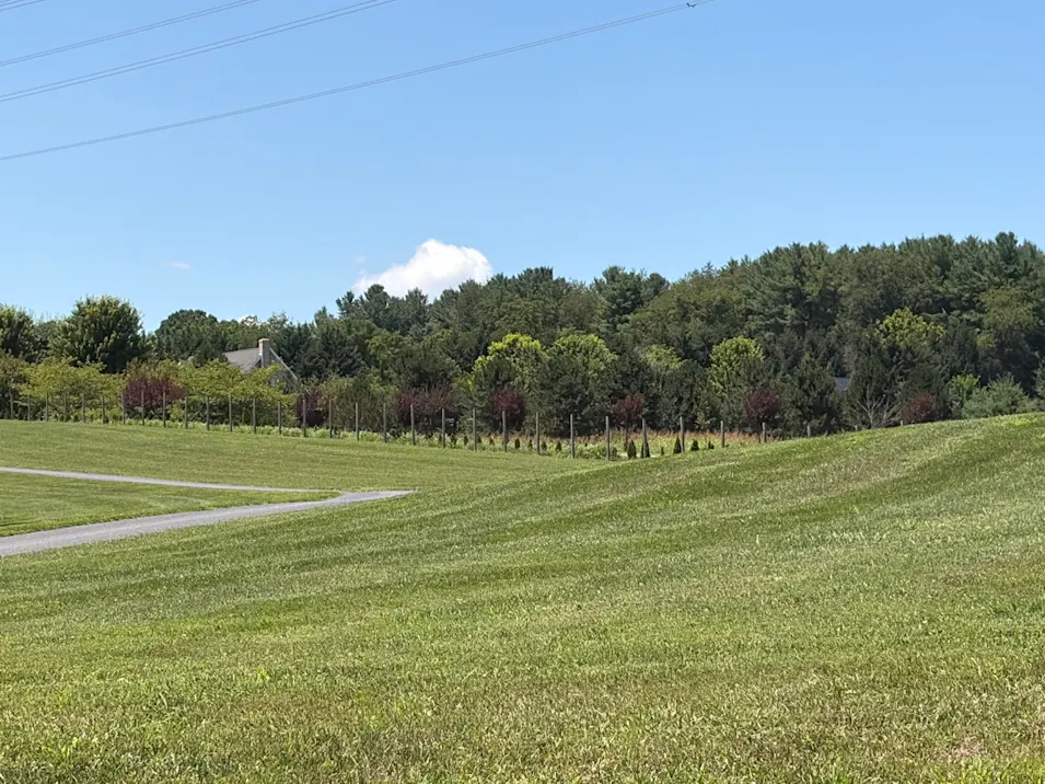 3771 Old Greenville Rd Staunton, VA 24401, Augusta County
