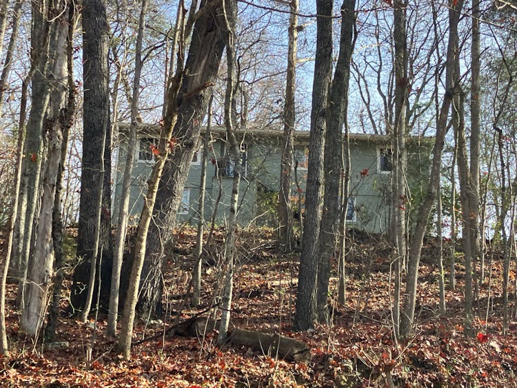 552 Foust Carney Rd Powell, TN 37849, Anderson County