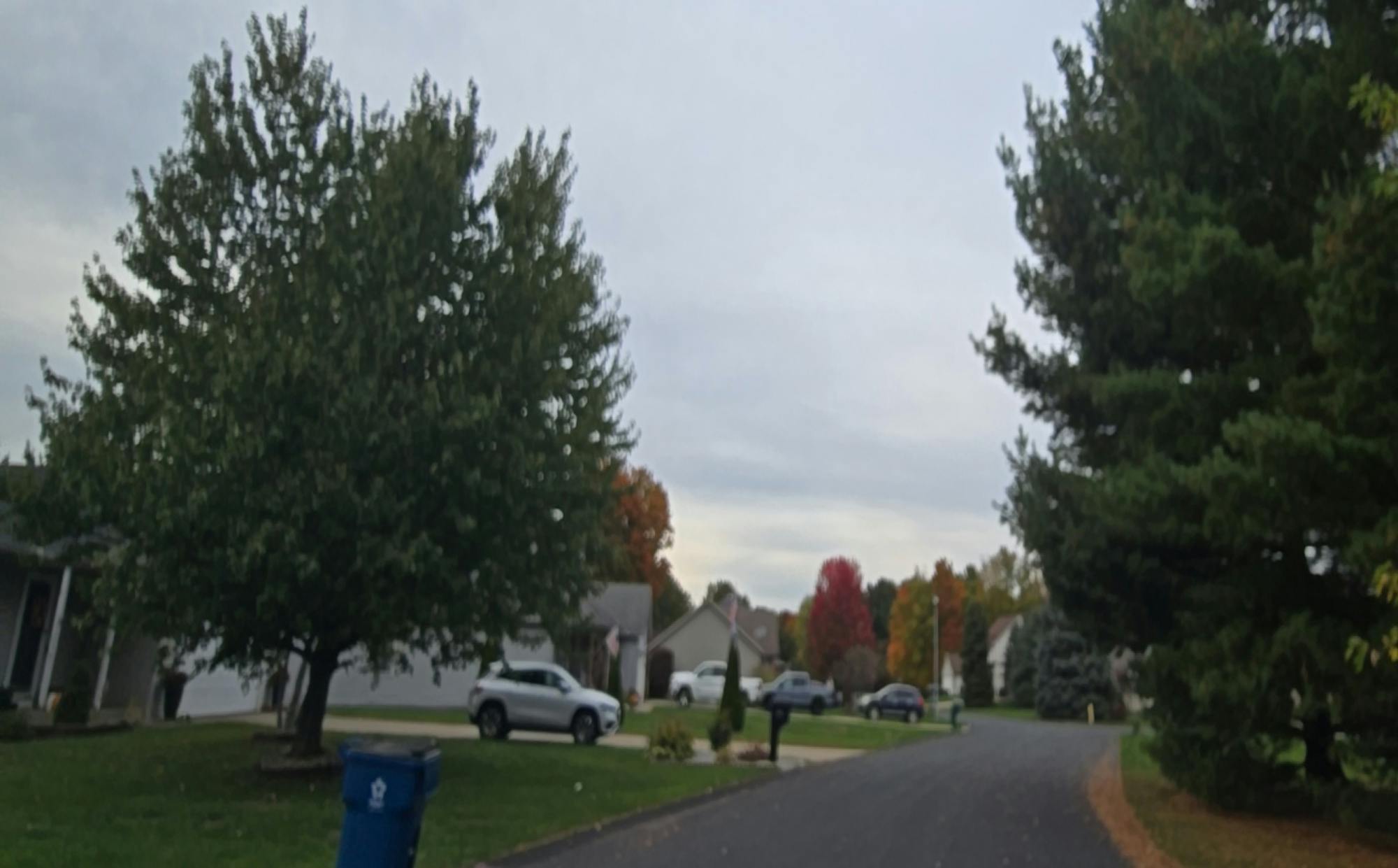 Yellow Pine Ln, Kalamazoo, MI 49004