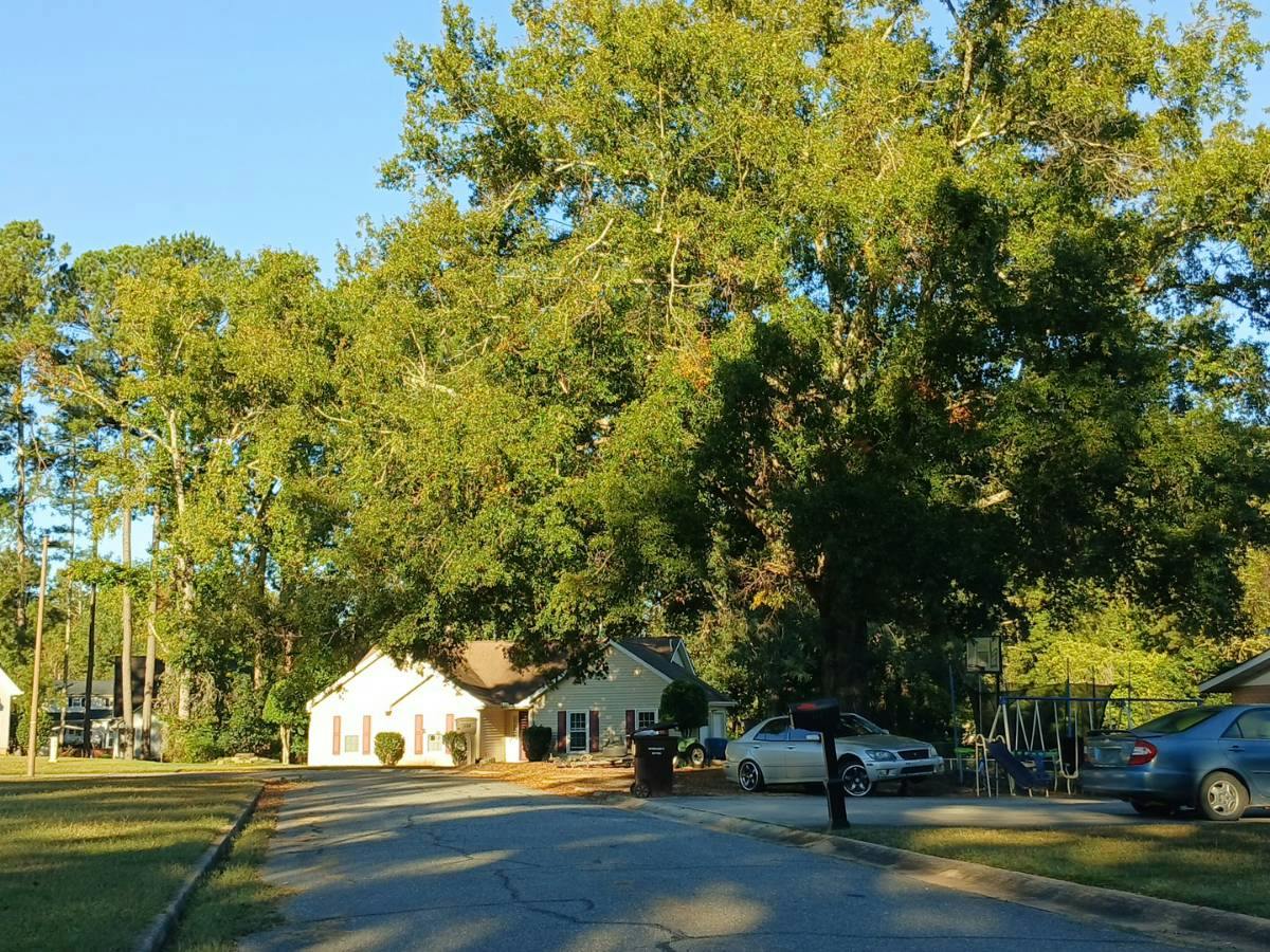 Thames Ct, Greenwood, SC 29649