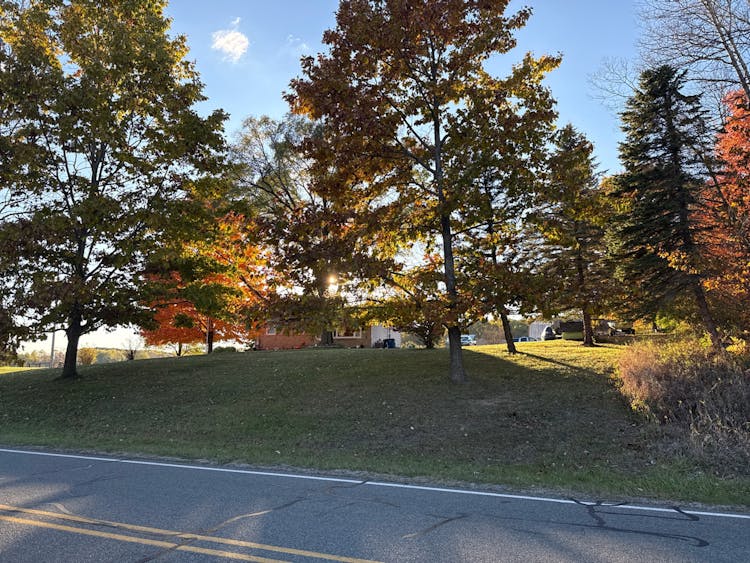 17 95th Ave Lakeview, MI 48850, Mecosta County