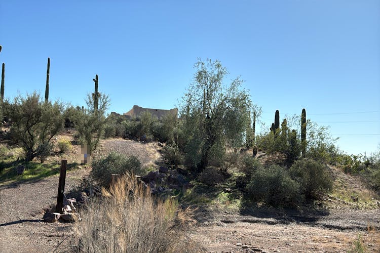 407 E Honda Bow Road Phoenix, AZ 85086, Maricopa County