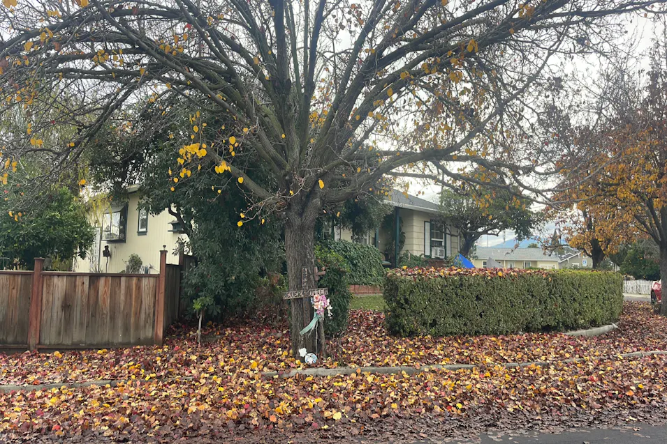 1101 Medanos St Antioch, CA 94509, Contra Costa County