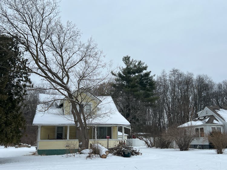 33342 Willow Rd New Boston, MI 48164, Wayne County