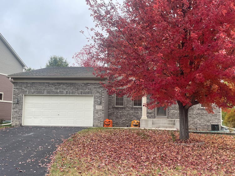 2016 Cobblestone Dr Cologne, MN 55322, Carver County