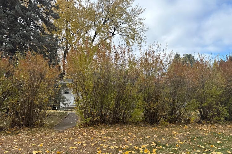 6325 Winnetka Avenue North Brooklyn Park, MN 55428, Hennepin County