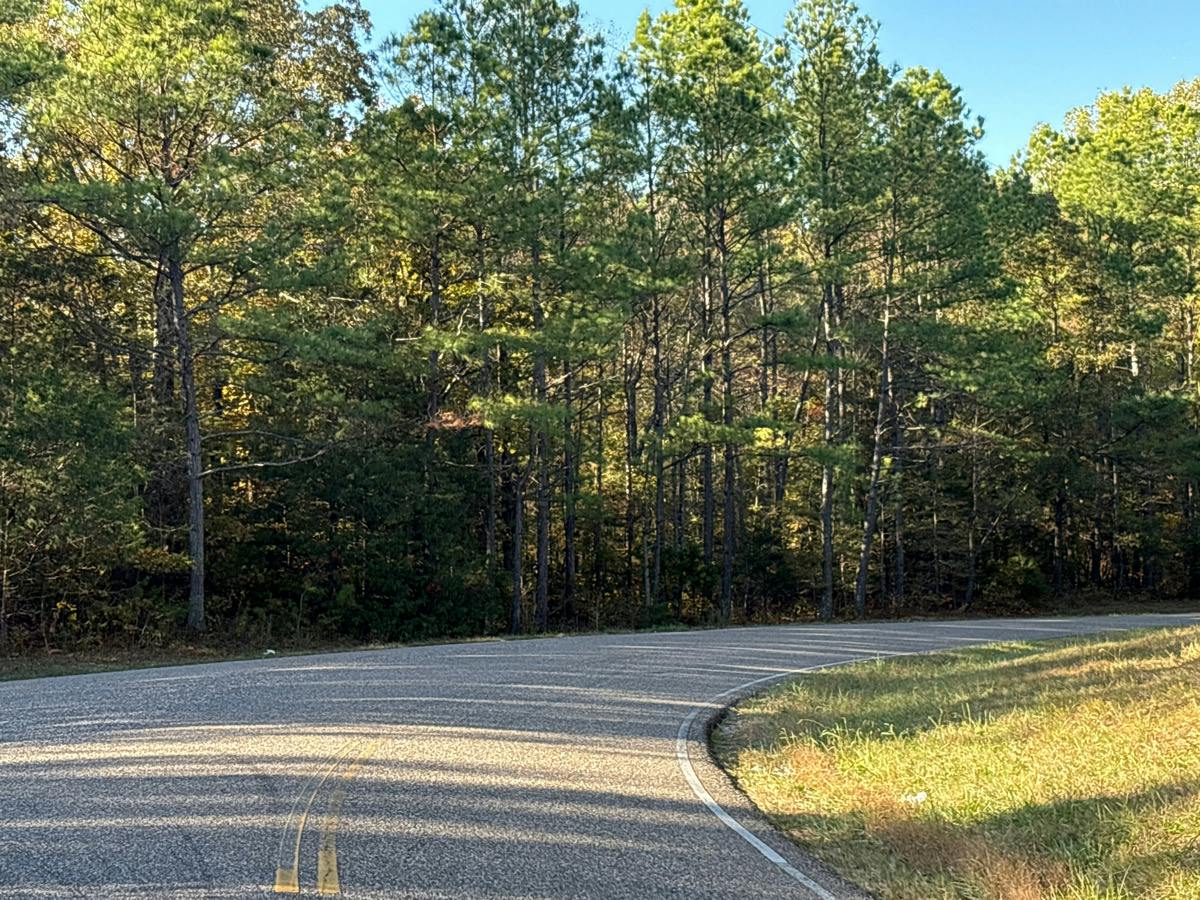 Ledsinger Rd, Huntingdon, TN 38344