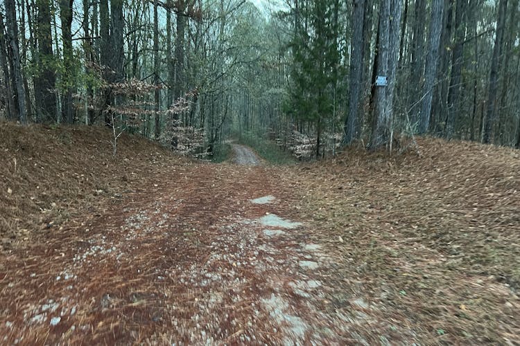 198 Abner Rd Franklin, GA 30217, Heard County