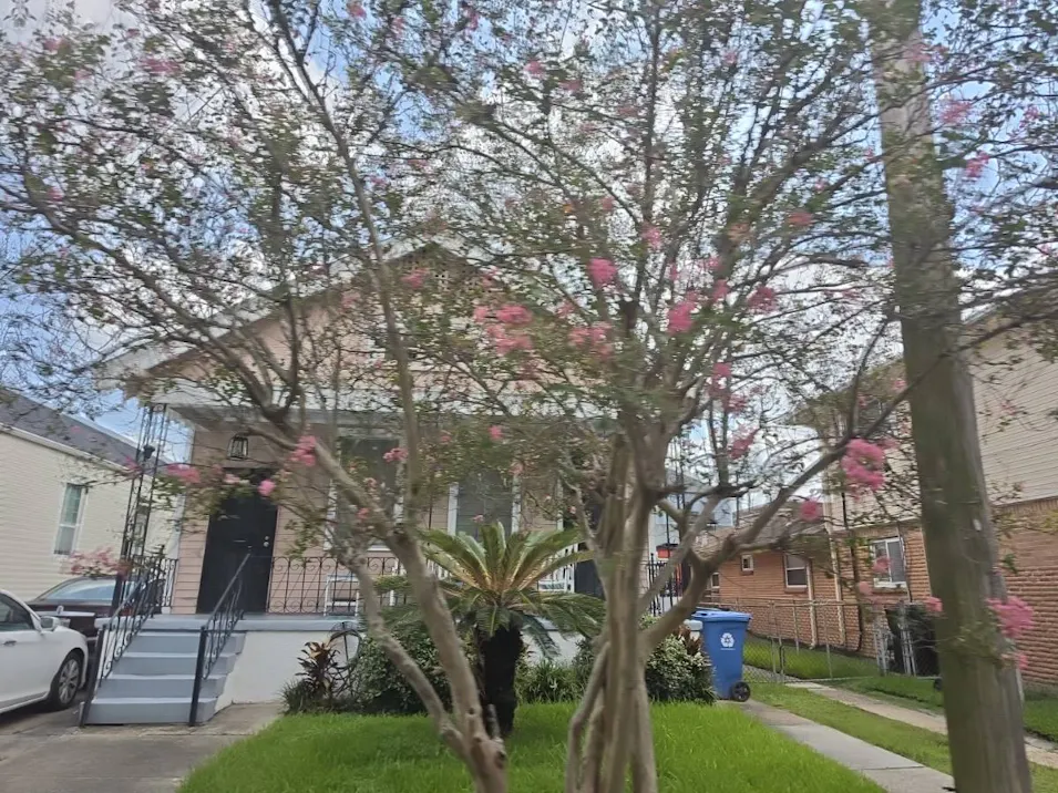 2409 Upperline St New Orleans, LA 70115, Orleans County