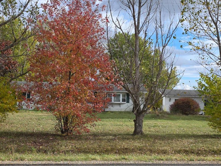 7513 Frankenmuth Rd Vassar, MI 48768, Tuscola County