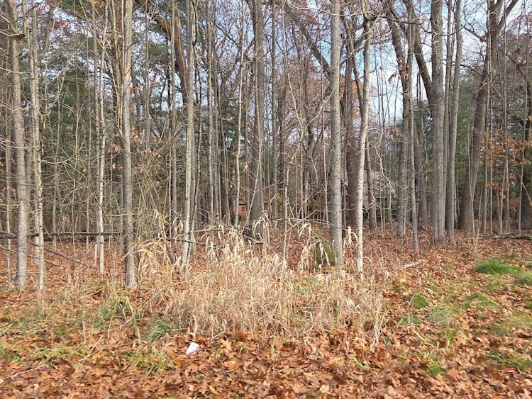 1540 N 2nd St Kalamazoo, MI 49009, Kalamazoo County