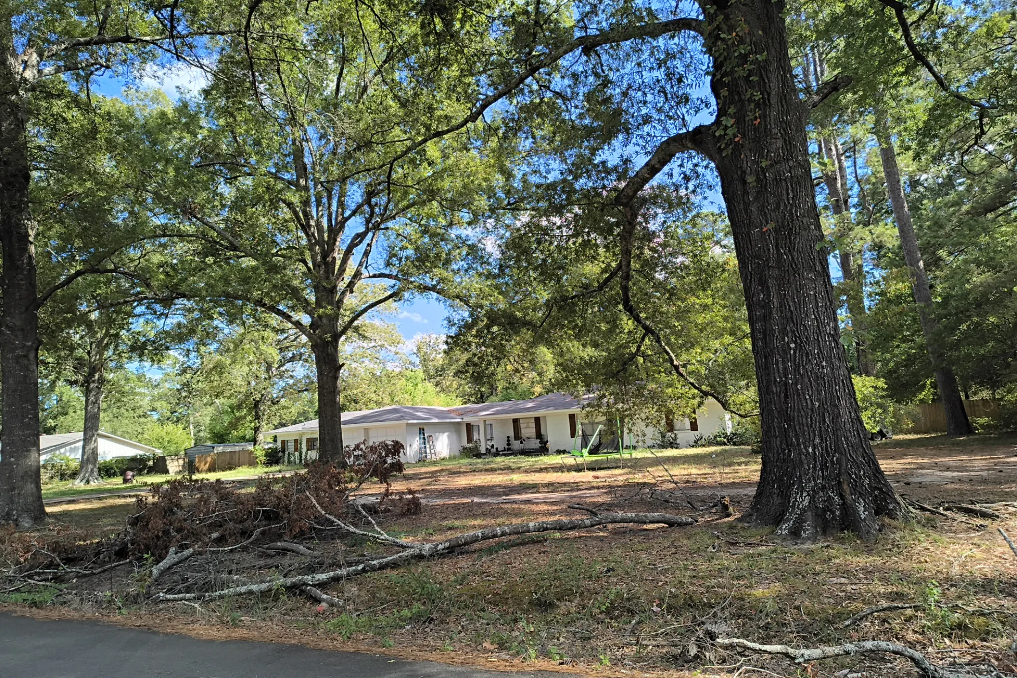 Harper Rd, Keithville, LA 71047 #1