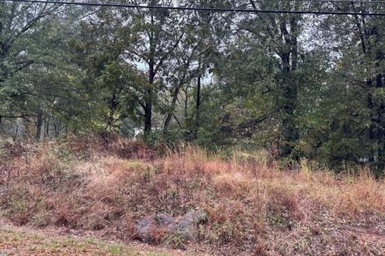 829 Brisco Mill Rd Bethlehem, GA 30620, Barrow County