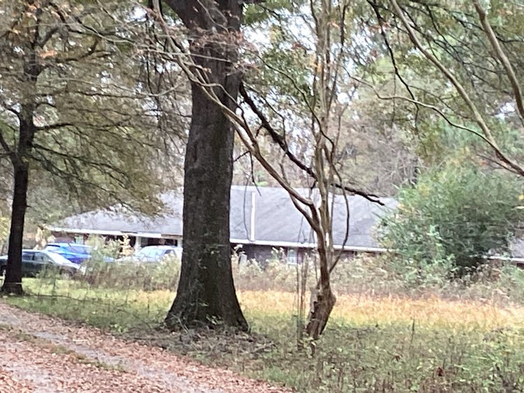 8 Fierness Trl Pike Road, AL 36064, Montgomery County