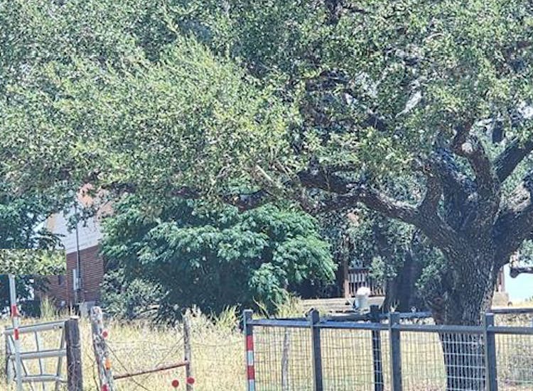 6237 Fm 3175 Lytle, TX 78052, Atascosa County