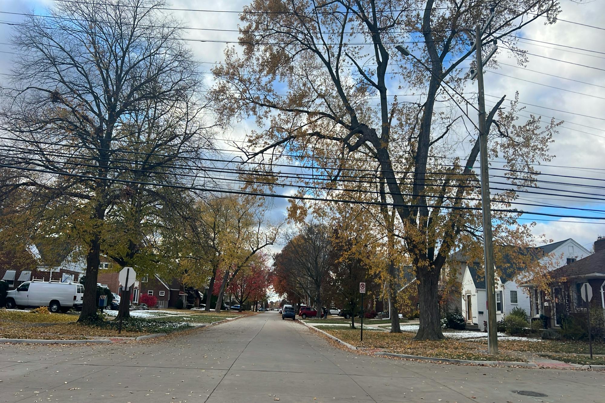 Philomene Blvd, Allen Park, MI 48101