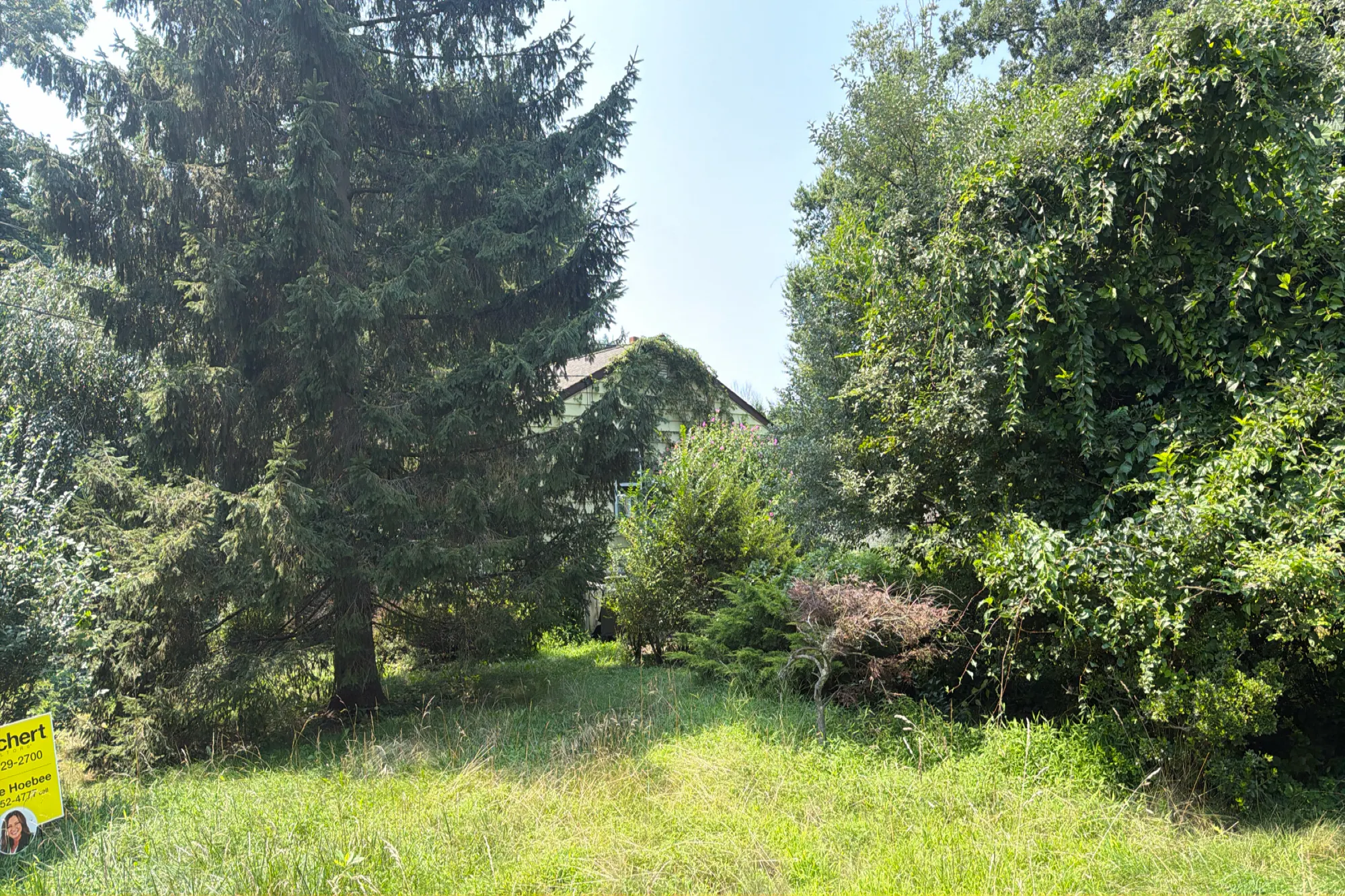 Terrence Ave, Lake Hopatcong, NJ 07849 #1