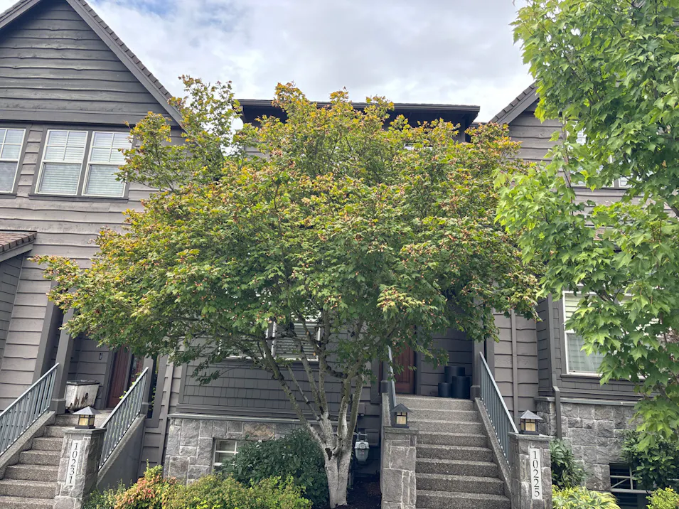 10225 SW Taylor St Portland, OR 97225, Washington County