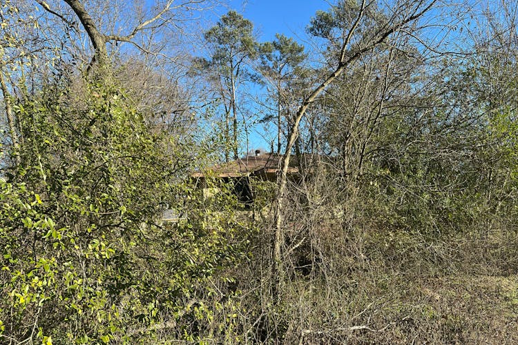 1100 Corbin Street Albertville, AL 35950, Marshall County