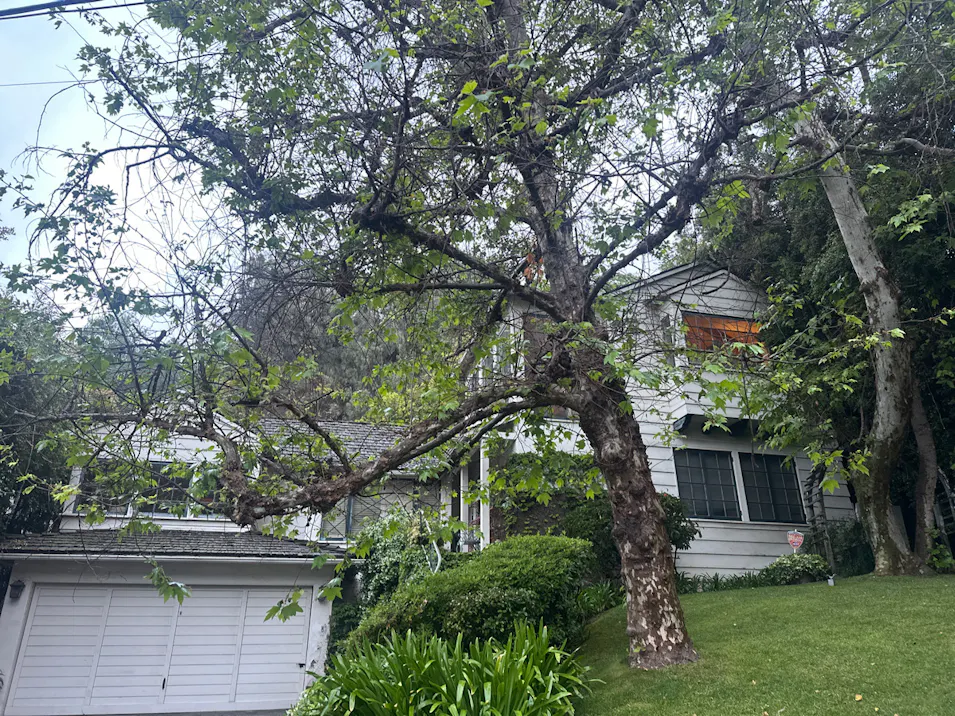 1315 North Wetherly Drive Los Angeles, CA 90069, Los Angeles County