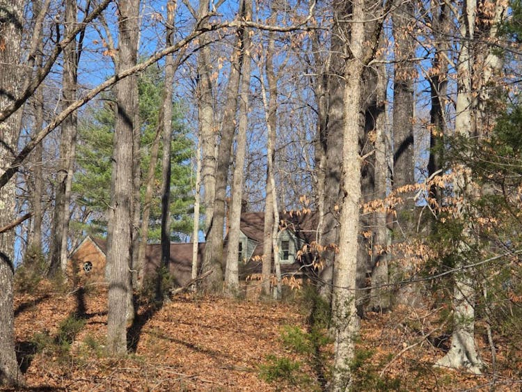 201 Tanglewood Dr Dickson, TN 37055, Dickson County